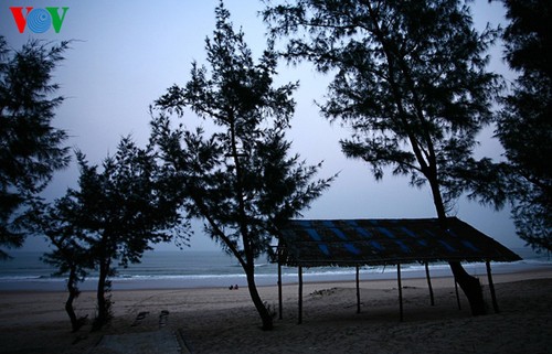 Primary beauty of Hoanh Son Beach  - ảnh 16